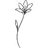 Botanical Line Flower Minimal