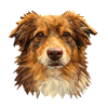 Australian Shepherd – Geometric Dog Art Design