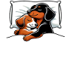 Offizielle Bester Papa Schnarchshirt Dachshund