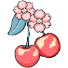 Cherry blossom charm illustration