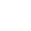 Gallimimus Skull Fossil