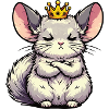 Chinchilla Chinchillas Chinchilla Owner Rodent