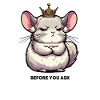 Avant de demander aux chinchillas rongeurs