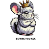 Avant de demander aux chinchillas rongeurs