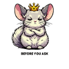 Avant de demander aux chinchillas rongeurs