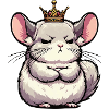 Chinchilla Chinchillas Chinchilla Owner Rodent