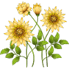 Fleur