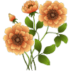 Fleur