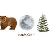 Winter Bear
