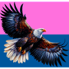 aigle