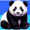 panda