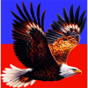 eagle