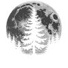 Moon Forest Silhouette