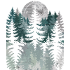 Nachtwald Silhouette mit Mond