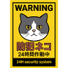24-hour feline security: the guard cat