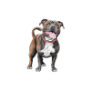 Staffie Humour Hair Pajamas