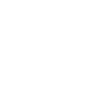 Nevermore – Rabe vor Mond