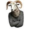Ram in sweater surreal portrait