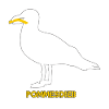 Frites Mouette Voleuse - Blanc