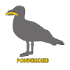 Frites Mouette Voleuse - Gris