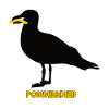 French Fries Thief Seagull - Black