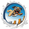 Pug Sprinter im Stadtlauf