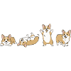 Corgi-Parade Happy Dogs