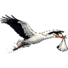 Cigogne avec bébé – symbole de naissance et de famille