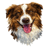Australian Shepherd – Geometric Dog Art Design