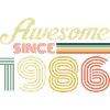 Awesome since 1996 retro vibe