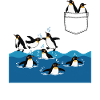 Pinguin Sprung ins Wasser Pocket Design