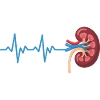 Kidney Rhythm Graph