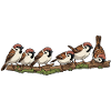 Sparrows on a branch nature illustration
