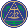 51195_Zimmerer Geometric Triangle Emblem