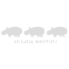 st.lucia_nightlife_2