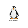 Penguin But Why meme