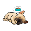 Pyjama Poils Chien Bouledogue Français
