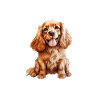 Cocker Spaniel Dog Hair Pajamas