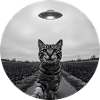 Funny UFO Space Cat Alien Design