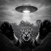 Funny UFO Space Cat Alien Design