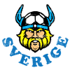 Sverige Sweden Football Viking