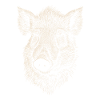 Wildschwein Schwarzwild Wildschweine Schwein Jäger