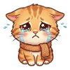Crying Kitten with Scarf