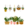 Plant Lover Garden Gardener