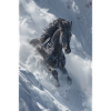 Winter Stallion in Snow Drift