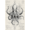 Geometric Octopus Blueprint