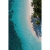 Turquoise Tide Palms