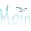 Moin Möwe