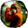 Golfe des orangs-outans / Singe