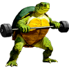 Fitness Sports Turtle